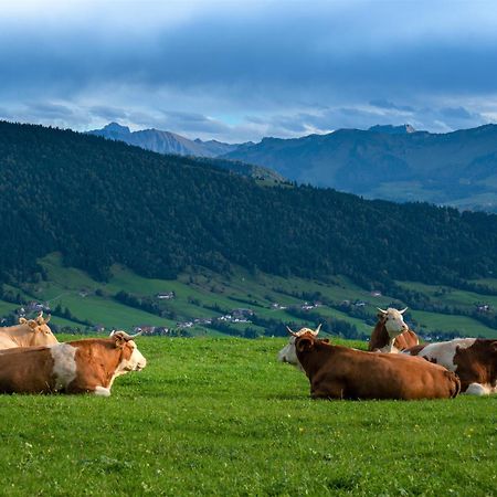 Ferienwohnung Bergpfote - Hund Herzlich Willkommen Scheidegg Kültér fotó
